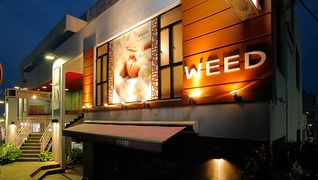 WEED by サロンドオリーブ 学園前店