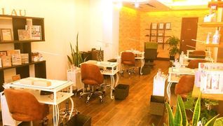 salon lau