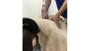 からだらか鍼灸整骨院