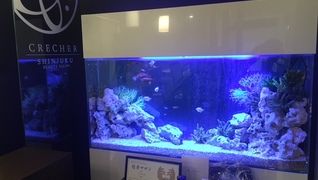 クレシェール新宿サロン