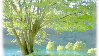 ケアサポートあいわ