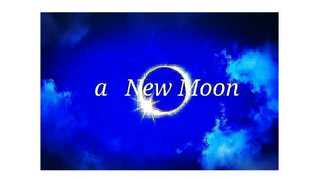 aNewMoon草津エイスクエア店