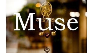 Muse 東所沢店