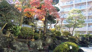 せらび芦花公園