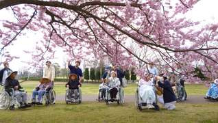 医療法人 さくら会