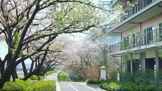 江戸川さくらの杜
