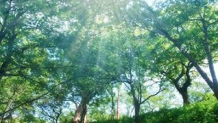 特定非営利活動法人 あん福祉会