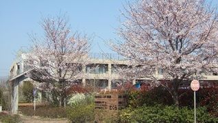 特別養護老人ホームさくら