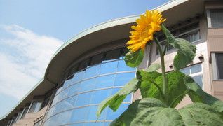 特別養護老人ホーム 新吉田