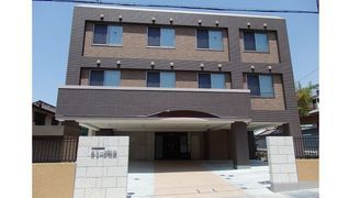 オリーブ柏原