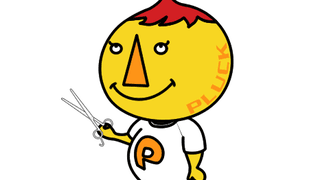 PLUCK