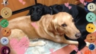 合同会社重度訪問介護サービスつむぎ