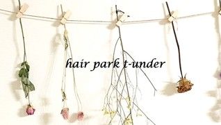 hair park t-under