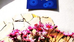 Indigo Hair design