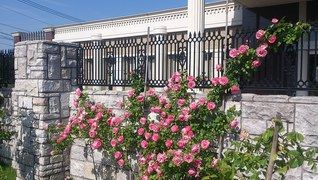 特別養護老人ホーム 水彩館