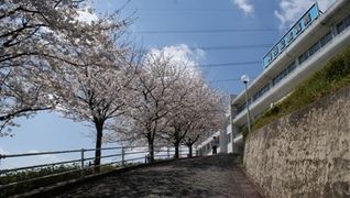 和田記念病院