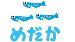 児童発達支援・放課後等デイサービス めだか千島団地