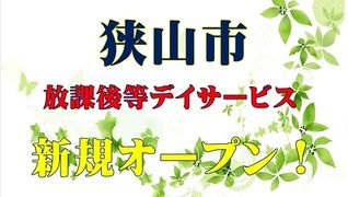 株式会社メルフィス