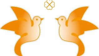 在宅介護 ジュン