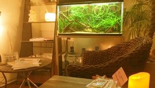 アクアリズム