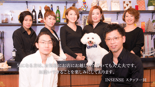 INSENSE