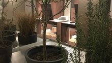 店舗詳細画像2