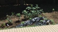 店舗詳細画像5