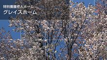 店舗詳細画像1