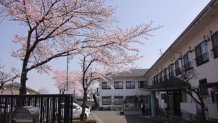ケアポート八王子
