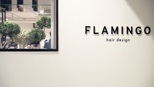 FLAMINGO hair design