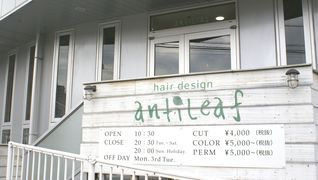 antileaf(アンティリーフ)