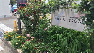 有料老人ホーム ルピナス