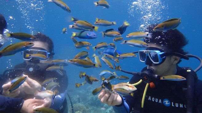 美容室アンジー 池上店 池上駅 の求人 転職情報一覧 リジョブ