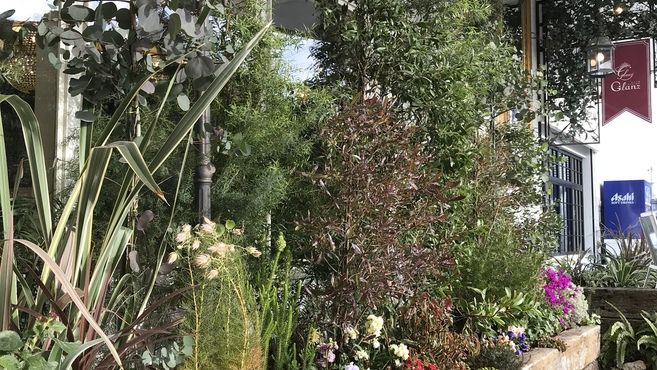 Glanz グランツ 日根野駅徒歩 7分 の求人 転職情報一覧 リジョブ