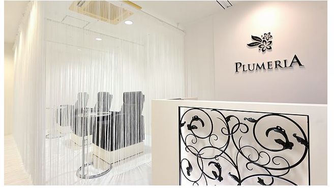 医療提携サロン Plumeria プルメリア 株式会社plumeria のエステ 店長の求人 リジョブ