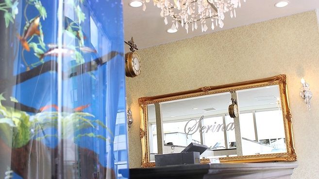 アイラッシュサロンserina 池袋東口店のアイリスト 店長の求人 東京都豊島区 リジョブ