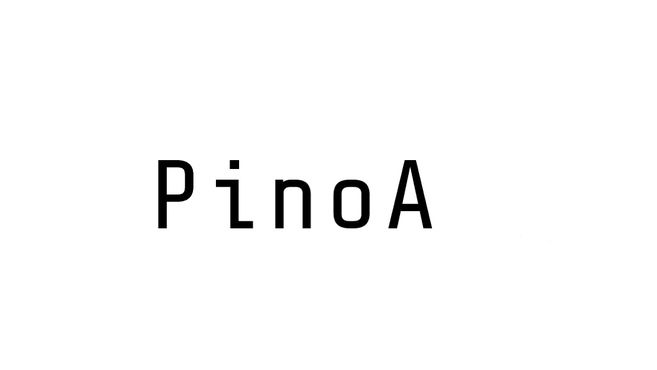蔵前 髪質改善サロン Pinoa 個室内完結型美容院の美容師 アシスタントの求人 東京都台東区 リジョブ