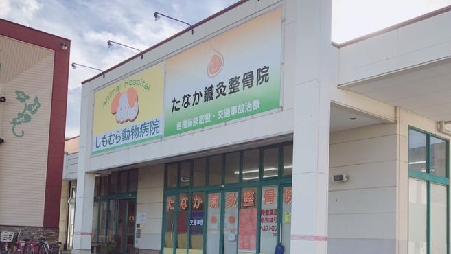 たなか鍼灸整骨院の受付 レセプション フロント スタッフの求人 大阪府堺市 リジョブ たなか鍼灸整骨院の受付 レセプション フロント スタッフの求人 大阪府堺市 リジョブ
