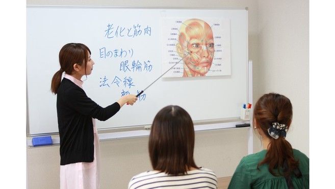 すてらめいとジャパン ビューティーアドバイザー募集 ステラメイト のエステ 講師 インストラクターの求人 大阪府大阪市 リジョブ