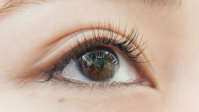 Treat Eyelash Nail Salon 夙川店のネイリスト スタッフの求人 兵庫県西宮市 リジョブ