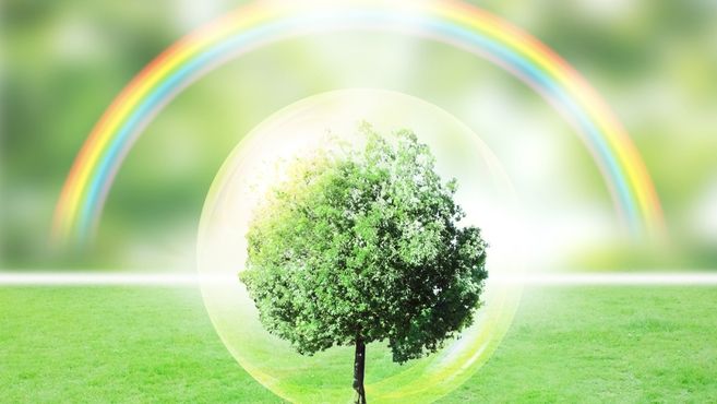 トミオさいたま桜テラスの介護職 スタッフの求人 埼玉県さいたま市 リジョブ