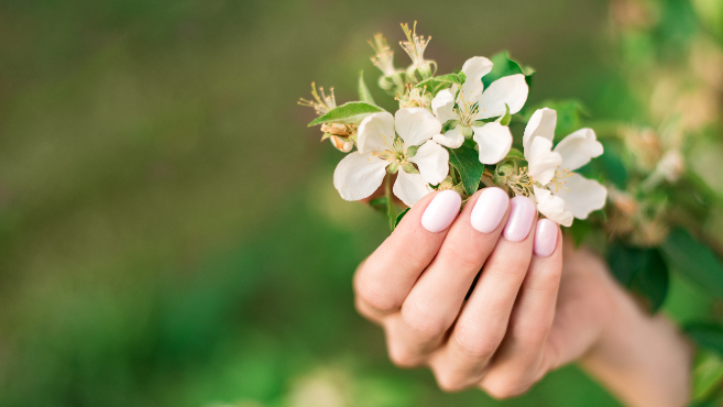ティーエヌ高松店のネイリスト 施術者の求人 香川県高松市 リジョブ