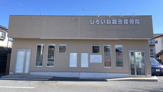 しろいね鍼灸接骨院