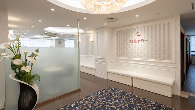 銀座カラー 銀座本店のエステ 施術者の求人 東京都中央区 リジョブ
