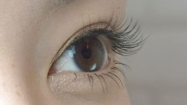 Fere Bright 柏店 フェアブライト 柏駅徒歩 3分 の求人 転職情報一覧 リジョブ