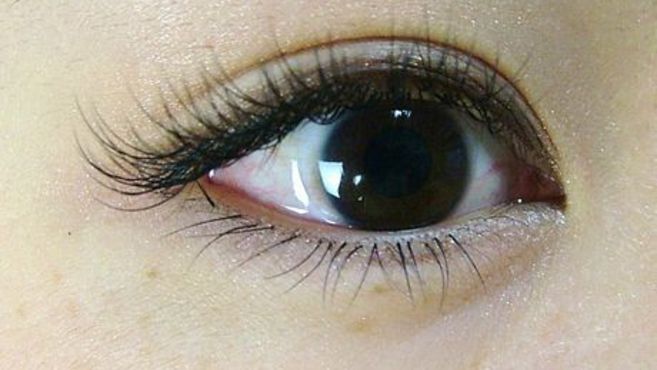 Fere Bright 柏店 フェアブライト 柏駅徒歩 3分 の求人 転職情報一覧 リジョブ