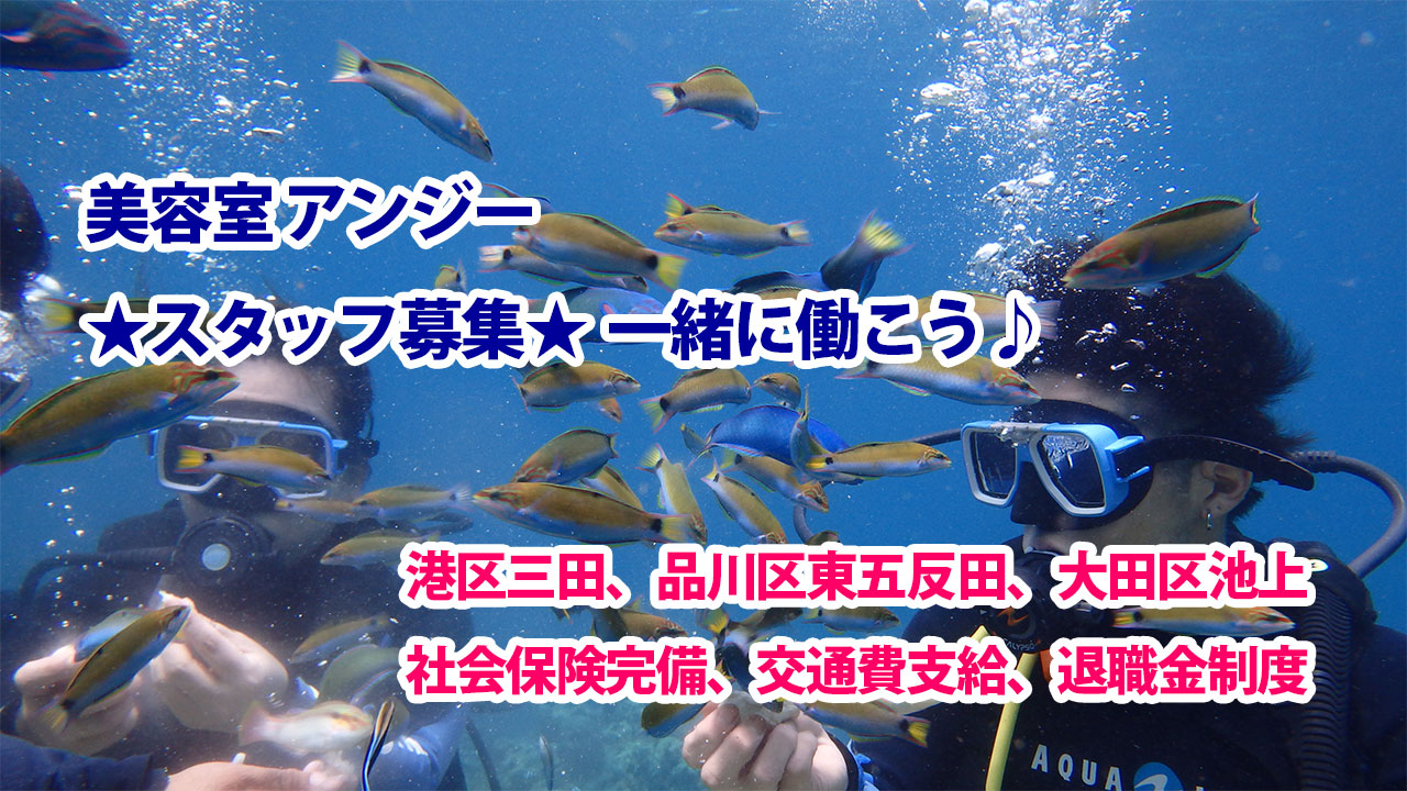 美容室アンジー 五反田店の美容師 スタイリストの求人 東京都品川区 リジョブ
