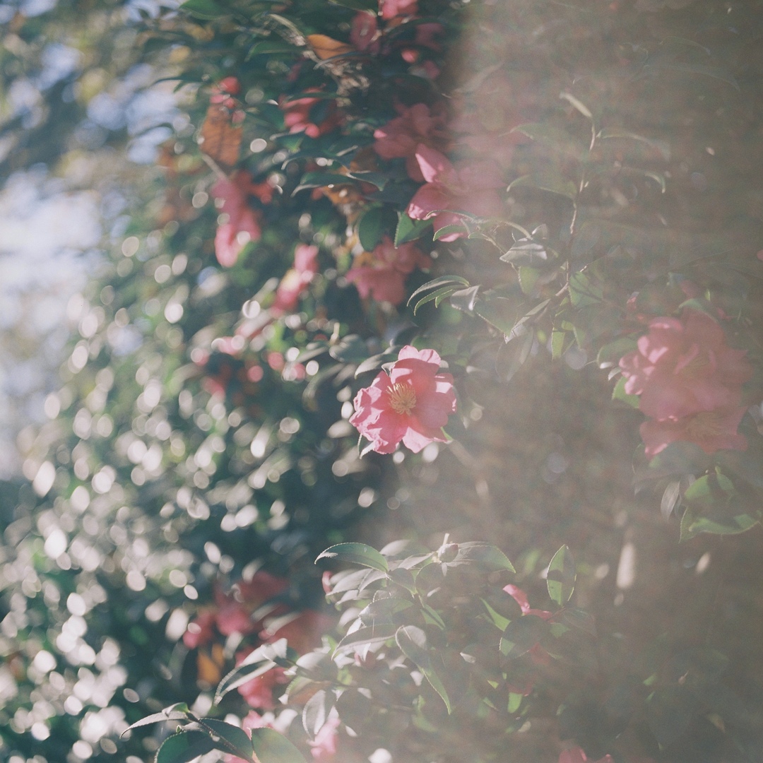 Thumb 43ea07d8 a1d4 4f93 9af2 aad4c72975f9