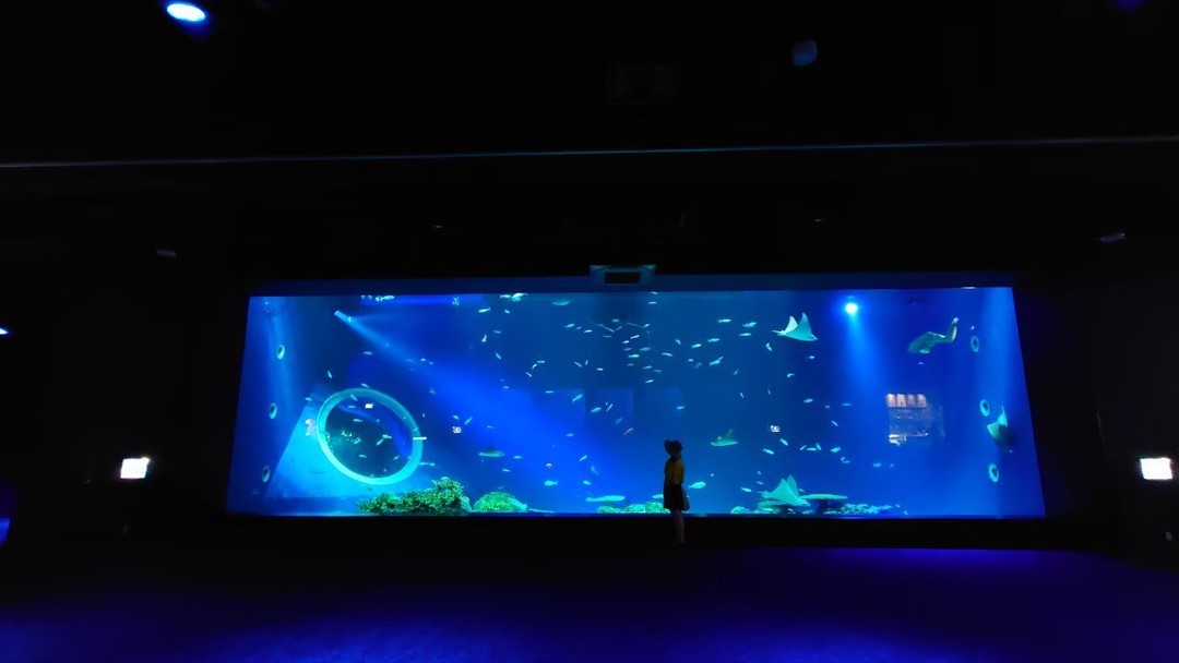 Thumb 36defe35 6067 4b92 9b35 4a02f3fcb6ae