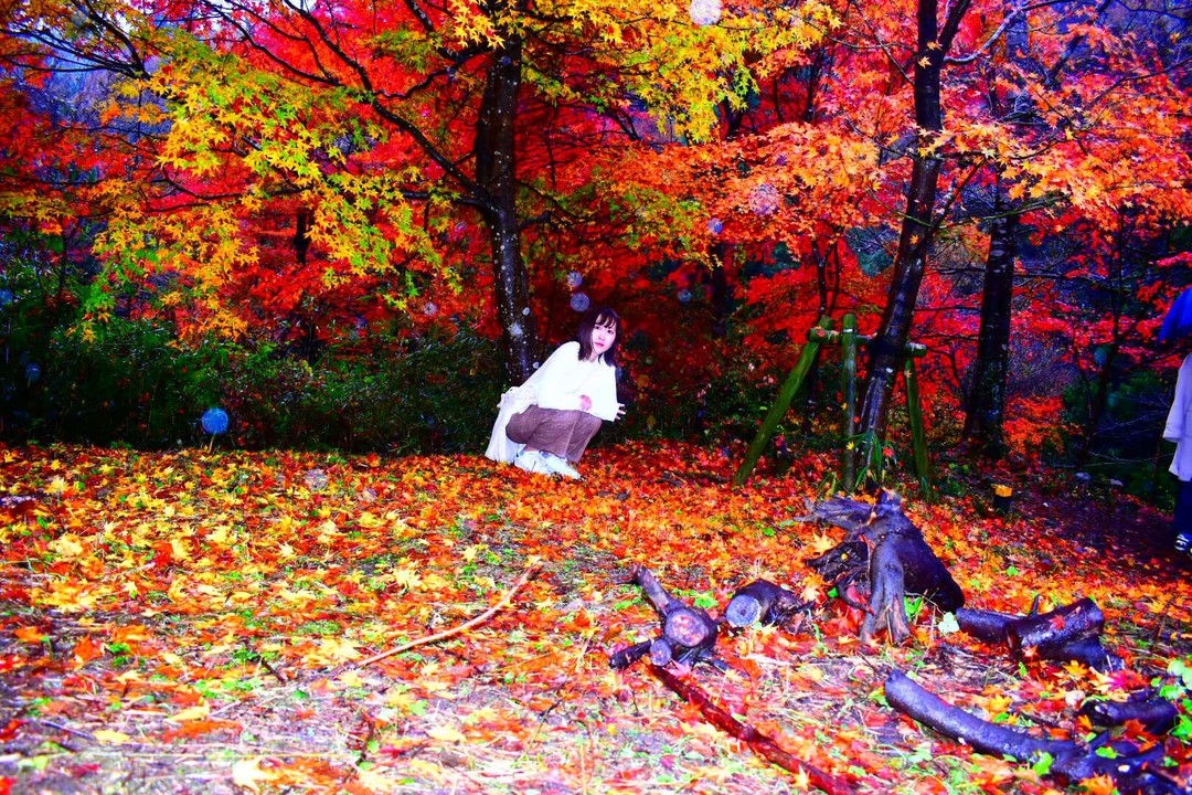 Thumb 78195cd9 53a7 4066 a1c2 f39659548605